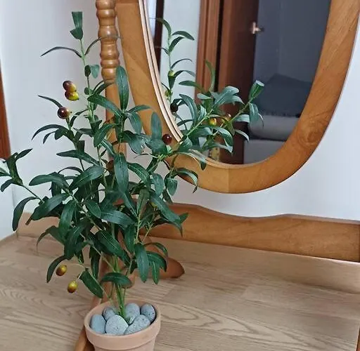 June Apartment